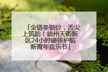 全链条锁价，舌尖上筑防！德州天衢新区24小时硬核护航新青年音乐节