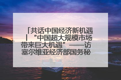 共话中国经济新机遇丨“中国超大规模市场带来巨大机遇”——访塞尔维亚经济部国务秘书尼科利奇