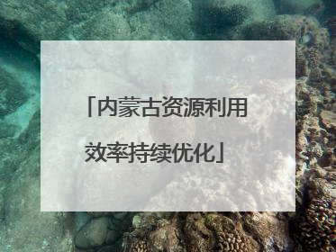 内蒙古资源利用效率持续优化