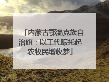 内蒙古鄂温克族自治旗：以工代赈托起农牧民增收梦