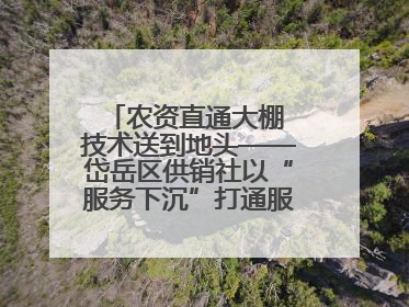 农资直通大棚 技术送到地头——岱岳区供销社以“服务下沉”打通服务“三农”最后一公里