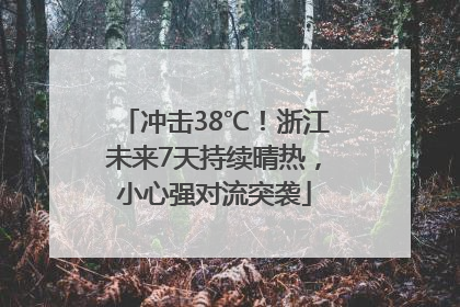 冲击38℃！浙江未来7天持续晴热，小心强对流突袭