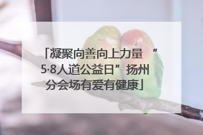 凝聚向善向上力量 “5·8人道公益日”扬州分会场有爱有健康