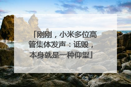 刚刚，小米多位高管集体发声：诋毁，本身就是一种仰望