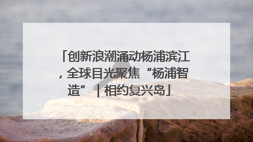 创新浪潮涌动杨浦滨江，全球目光聚焦“杨浦智造”｜相约复兴岛