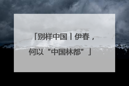 别样中国丨伊春，何以“中国林都”