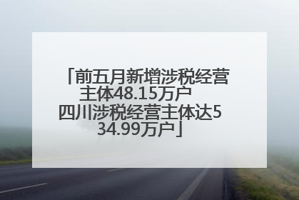 前五月新增涉税经营主体48.15万户 四川涉税经营主体达534.99万户