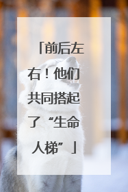 前后左右！他们共同搭起了“生命人梯”