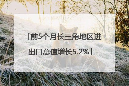 前5个月长三角地区进出口总值增长5.2%