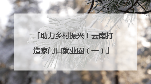 助力乡村振兴！云南打造家门口就业圈（一）