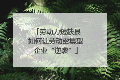 劳动力短缺县 如何让劳动密集型企业“逆袭”