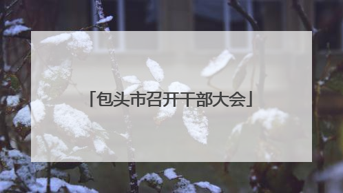 包头市召开干部大会