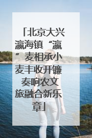 北京大兴瀛海镇“瀛”麦相承小麦丰收开镰 奏响农文旅融合新乐章