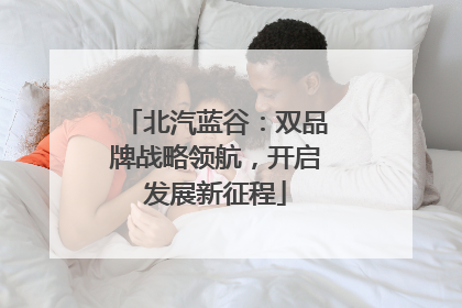北汽蓝谷：双品牌战略领航，开启发展新征程