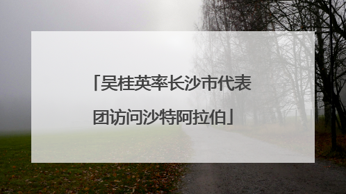 吴桂英率长沙市代表团访问沙特阿拉伯