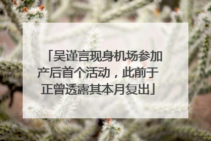 吴谨言现身机场参加产后首个活动，此前于正曾透露其本月复出