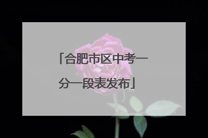合肥市区中考一分一段表发布