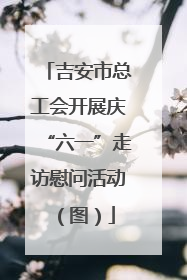 吉安市总工会开展庆“六一”走访慰问活动（图）