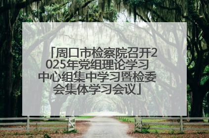 周口市检察院召开2025年党组理论学习中心组集中学习暨检委会集体学习会议