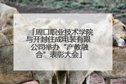 周口职业技术学院与开封住成电装有限 公司举办“产教融合”表彰大会