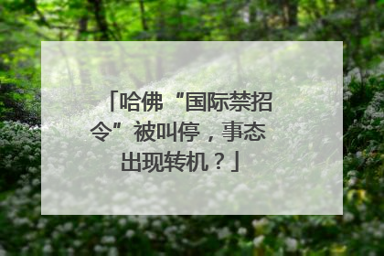哈佛“国际禁招令”被叫停，事态出现转机？