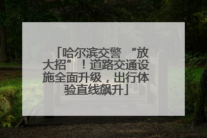 哈尔滨交警 “放大招”！道路交通设施全面升级，出行体验直线飙升