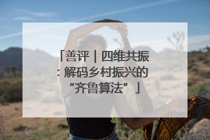 善评｜四维共振：解码乡村振兴的“齐鲁算法”