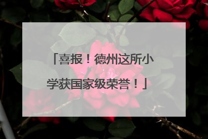 喜报！德州这所小学获国家级荣誉！