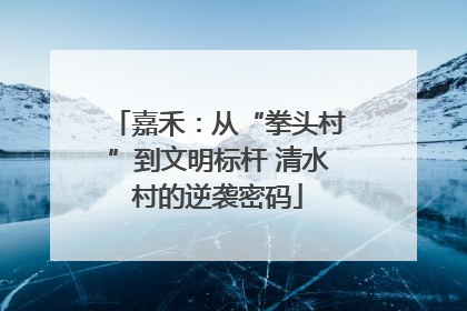 嘉禾：从“拳头村”到文明标杆 清水村的逆袭密码
