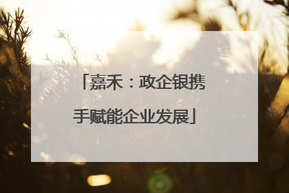 嘉禾：政企银携手赋能企业发展