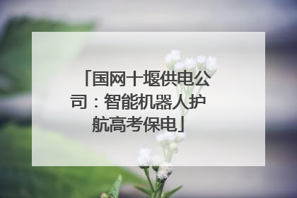 国网十堰供电公司：智能机器人护航高考保电