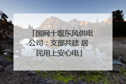 国网十堰东风供电公司：支部共建 居民用上安心电
