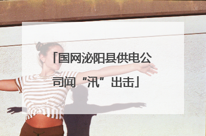 国网泌阳县供电公司闻“汛”出击