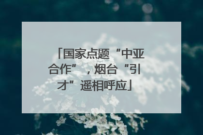 国家点题“中亚合作”，烟台“引才”遥相呼应