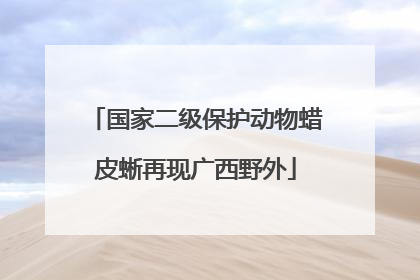 国家二级保护动物蜡皮蜥再现广西野外