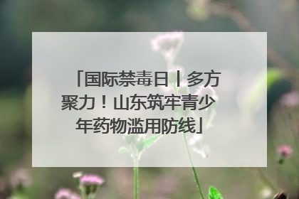 国际禁毒日丨多方聚力！山东筑牢青少年药物滥用防线
