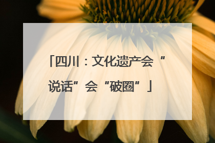 四川：文化遗产会“说话”会“破圈”