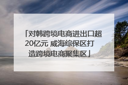 对韩跨境电商进出口超20亿元 威海综保区打造跨境电商聚集区