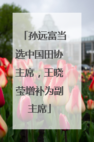 孙远富当选中国田协主席，王晓莹增补为副主席