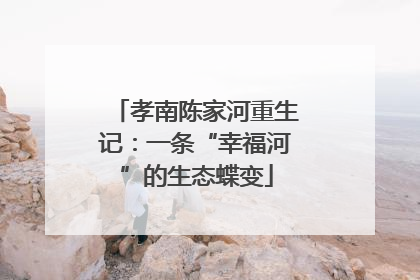 孝南陈家河重生记：一条“幸福河”的生态蝶变