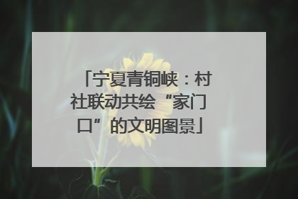 宁夏青铜峡：村社联动共绘“家门口”的文明图景