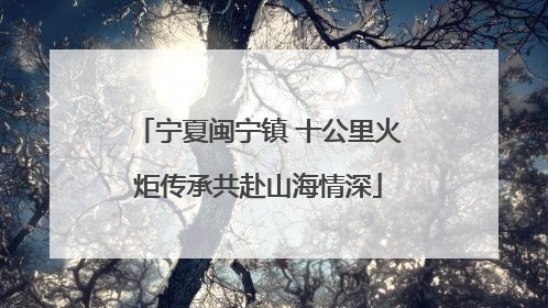 宁夏闽宁镇 十公里火炬传承共赴山海情深