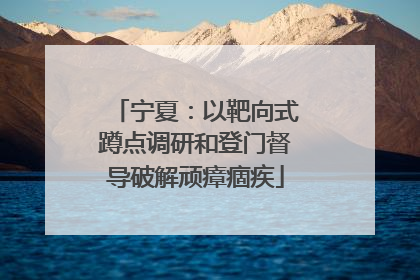 宁夏：以靶向式蹲点调研和登门督导破解顽瘴痼疾