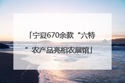 宁夏670余款“六特”农产品亮相农展馆