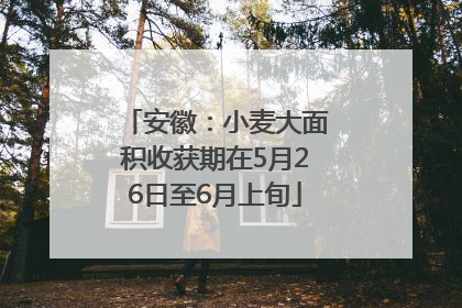 安徽：小麦大面积收获期在5月26日至6月上旬