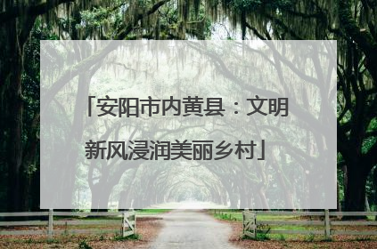 安阳市内黄县：文明新风浸润美丽乡村