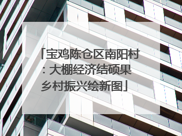 宝鸡陈仓区南阳村：大棚经济结硕果 乡村振兴绘新图