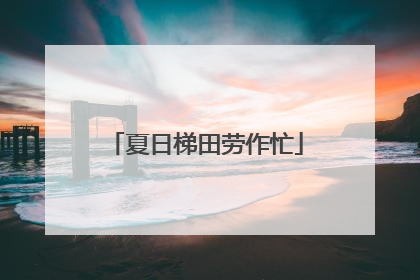 夏日梯田劳作忙