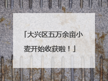 大兴区五万余亩小麦开始收获啦！