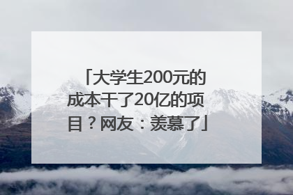 大学生200元的成本干了20亿的项目？网友：羡慕了